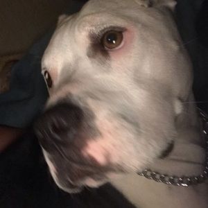 Meet your Posher, Jeffrey